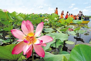 کاهش عمق تالاب انزلی