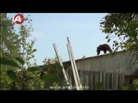 1 مستند چرنوبیل قسمت