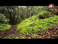 1-29-2015 - حافظ - HAFEZ